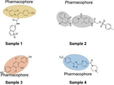 Discovery of potent STAT3 inhibitors using structure-based virtual screening, molecular dynamic simulation, and biological evaluation